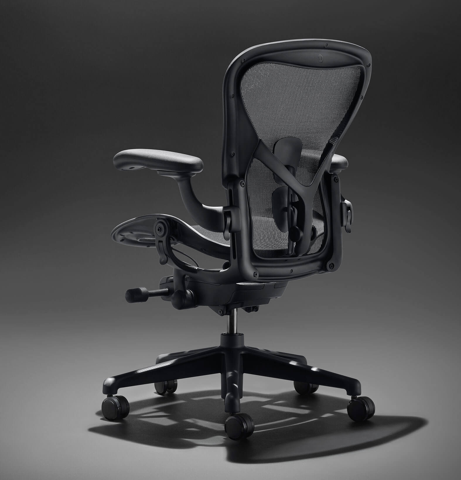 aeron chair back support